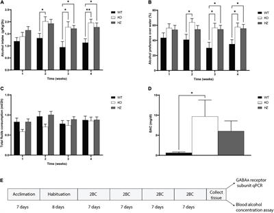 Increased Voluntary Alcohol Consumption in Mice Lacking GABAB(1) Is Associated With Functional Changes in Hippocampal GABAA Receptors